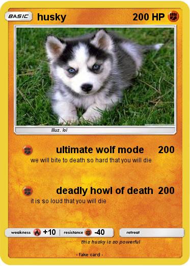 Pokemon husky