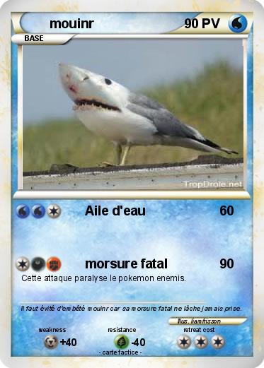 Pokemon mouinr
