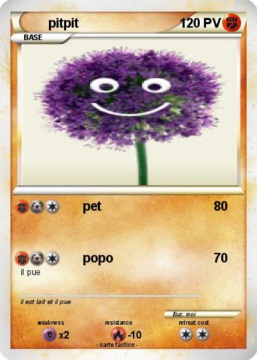 Pokemon pitpit
