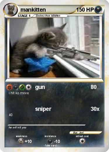 Pokemon mankitten