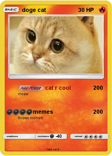Pokemon doge cat