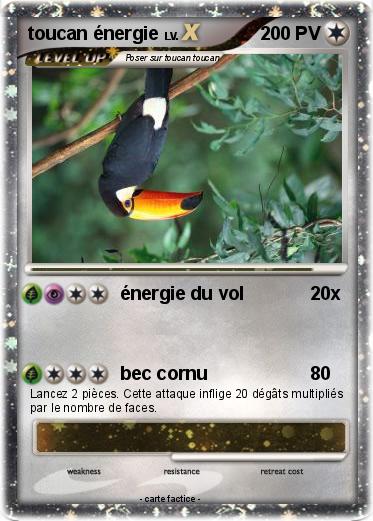 Pokemon toucan énergie