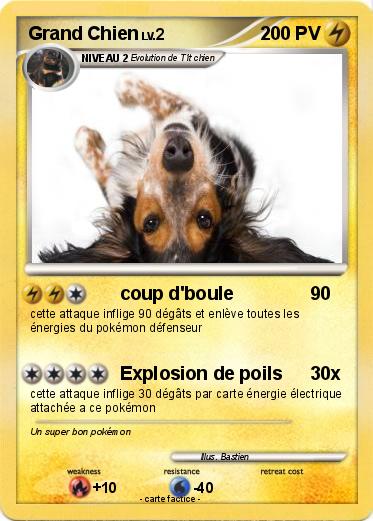 Pokemon Grand Chien