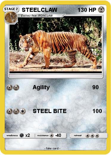 Pokemon STEELCLAW