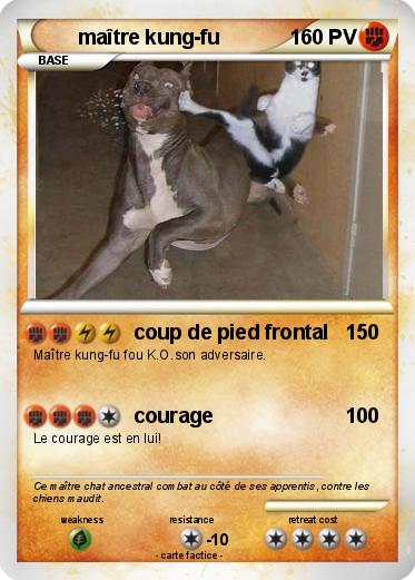 Pokemon maître kung-fu