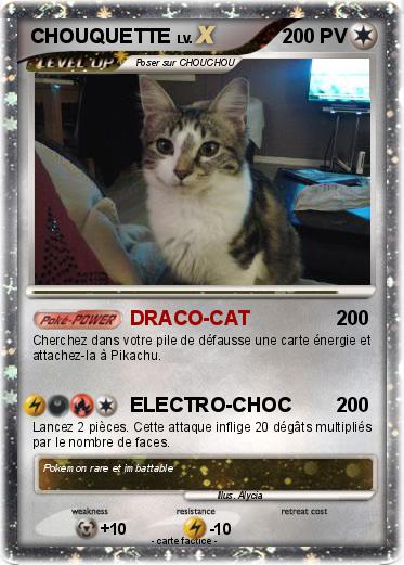 Pokemon CHOUQUETTE