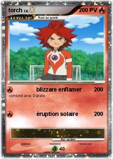 Pokemon torch
