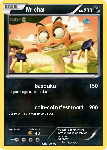 Pokemon Mr chat