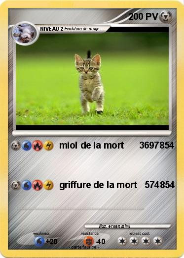 Pokemon 