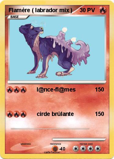 Pokemon Flamère ( labrador mix )