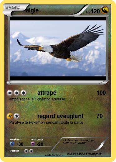 Pokemon aigle