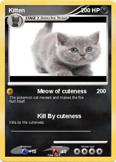 Pokemon Kitten