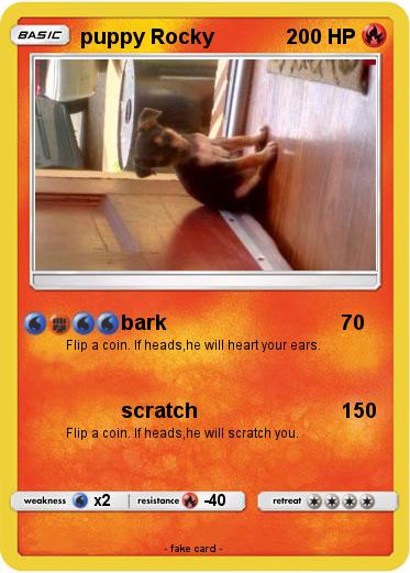 Pokemon puppy Rocky