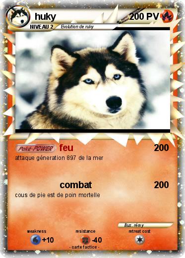 Pokemon huky
