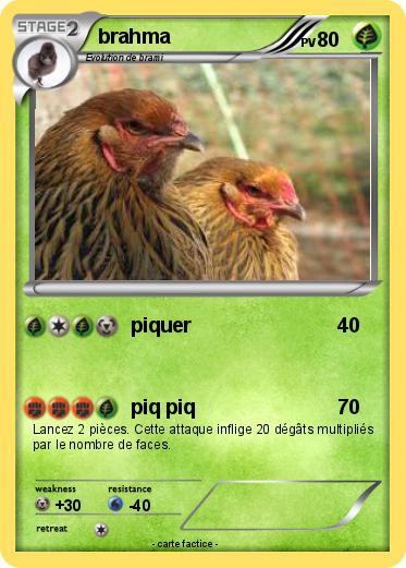 Pokemon brahma