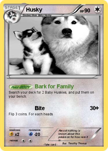 Pokemon Husky