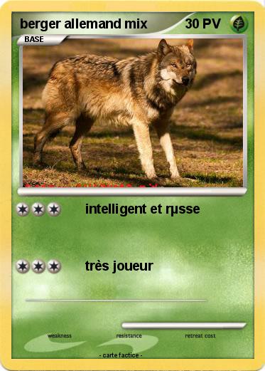 Pokemon berger allemand mix
