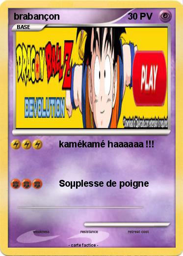 Pokemon brabançon