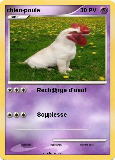 Pokemon chien-poule