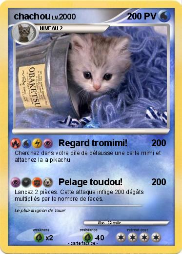 Pokemon chachou