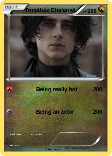 Pokemon Timothée Chalamet