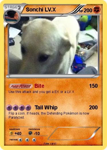 Pokemon Sonchi LV.X