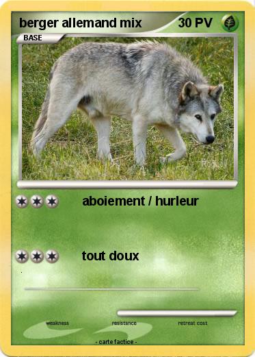 Pokemon berger allemand mix