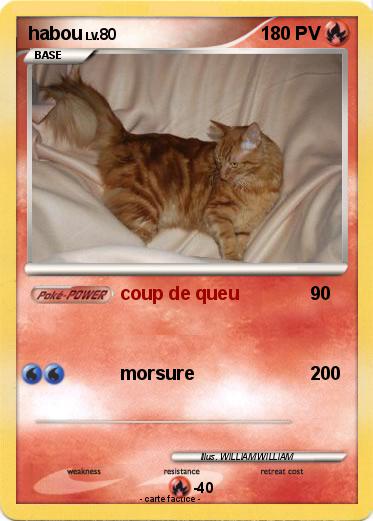 Pokemon habou