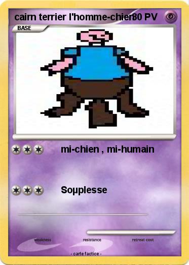 Pokemon cairn terrier l'homme-chien