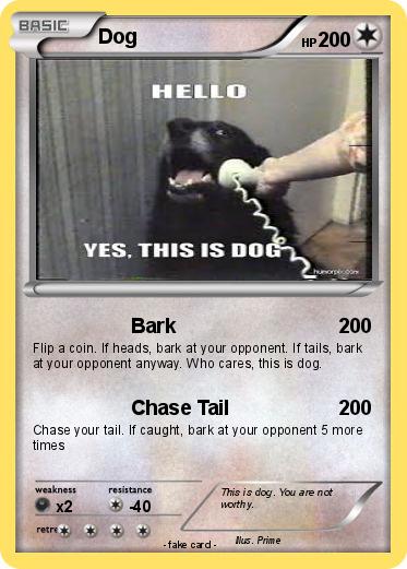Pokemon Dog