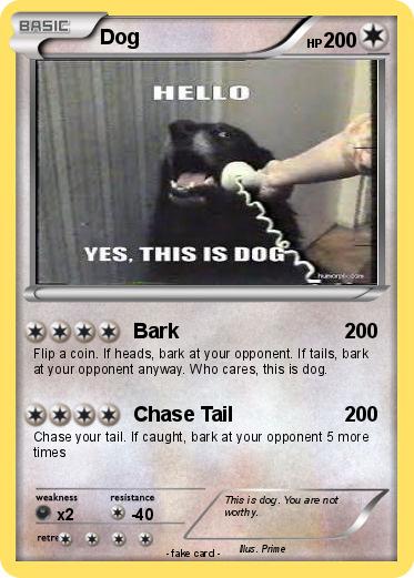 Pokemon Dog