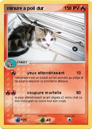 Pokemon minure a poil dur