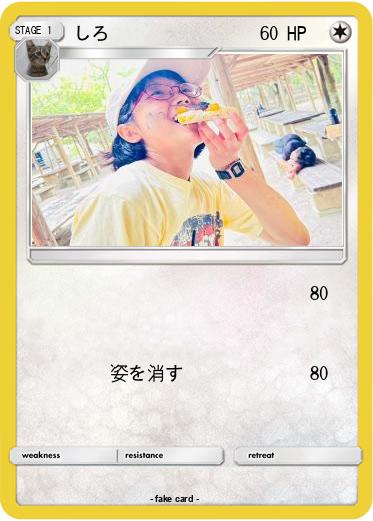 Pokemon しろ