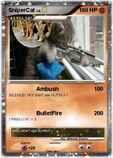 Pokemon SniperCat