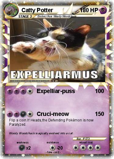 Pokemon Catty Potter
