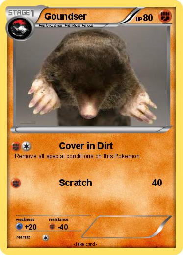 Pokemon Goundser
