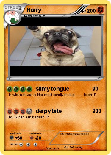 Pokemon Harry