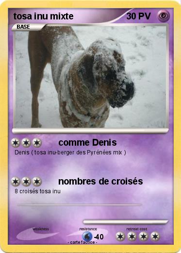 Pokemon tosa inu mixte