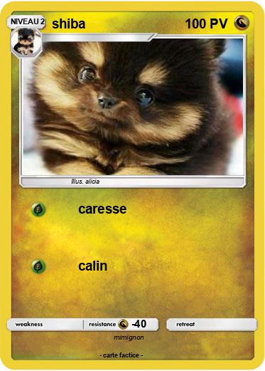 Pokemon shiba