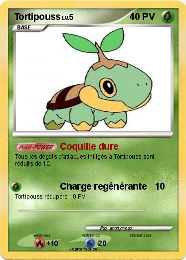 Pokemon Tortipouss