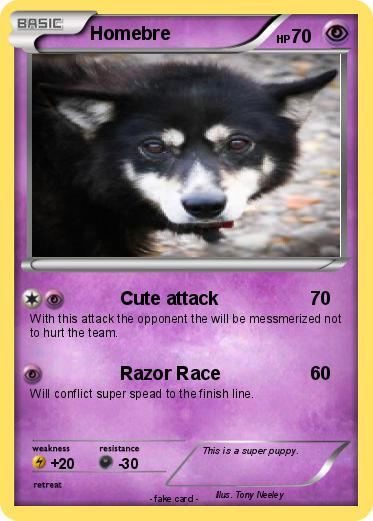 Pokemon Homebre