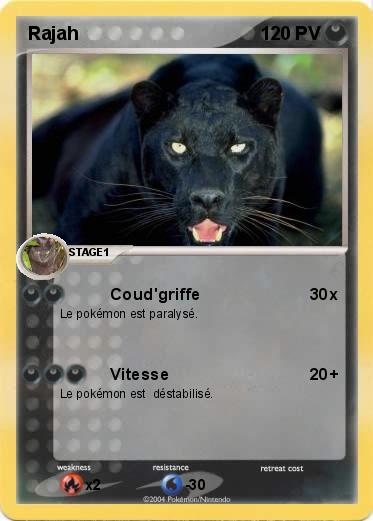 Pokemon Rajah