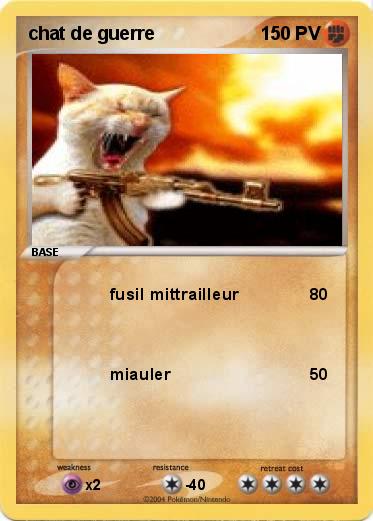 Pokemon chat de guerre