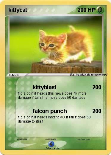 Pokemon kittycat