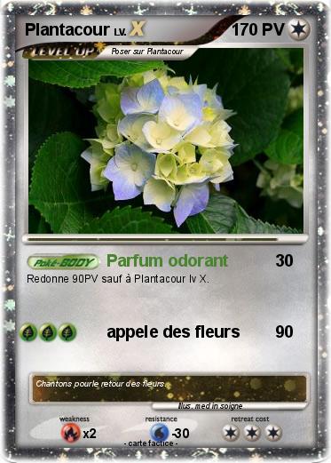 Pokemon Plantacour