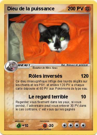 Pokemon Dieu de la puissance