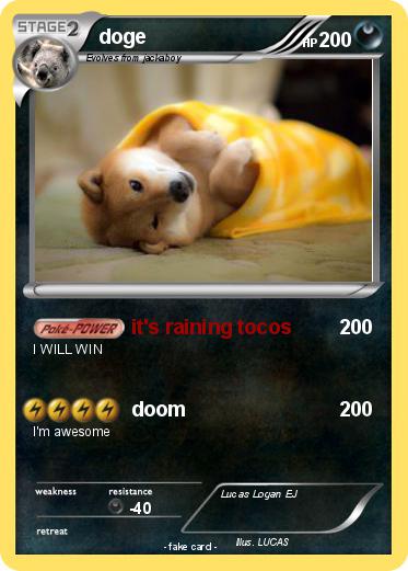 Pokemon doge