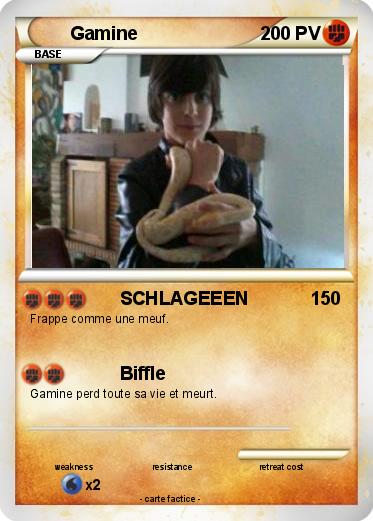 Pokemon Gamine