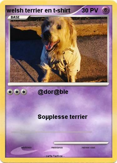 Pokemon welsh terrier en t-shirt