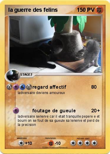 Pokemon la guerre des felins